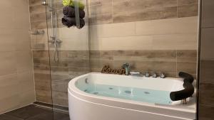 Stadtvilla Intzeplatz - Apartment Borkum