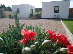 B&B / Chambres d'hotes Au Cap Norwoe : photos des chambres