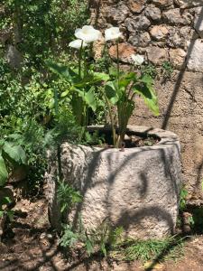 Guest House Libertas 