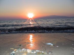 Seaside Deluxe Apartment Thassos Greece