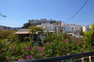 Pension Sofi Naxos Greece