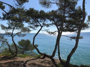 Apartamento vistas mar y piscina