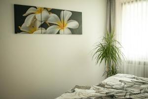 Ferienwohnung Am Schlosspark