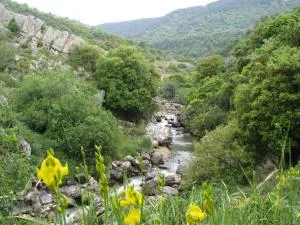 Tourism in the village - Nimrod