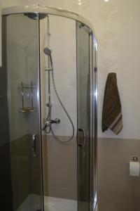 The Heart of Lviv Apartments - Lviv