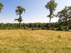 Maisons de vacances Cottage in Chaleix near Forest and Lake : photos des chambres