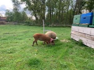 Ferienwohnung Süderfeld