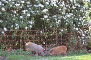Ferienwohnung Süderfeld