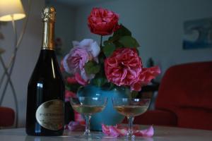 BEL APPARTEMENT SPACIEUX CENTRE VILLE UZES T3