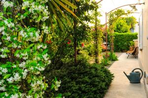 Maisons de vacances La Villa ioanes : photos des chambres