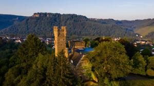 Saar Castle - cozy Mansion near vineyard