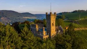 Saar Castle - cozy Mansion near vineyard - Ayl