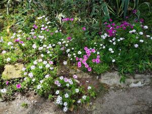 Apartamento entre la playa y la montaña