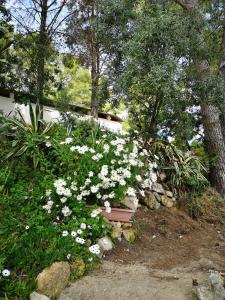 Apartamento entre la playa y la montaña