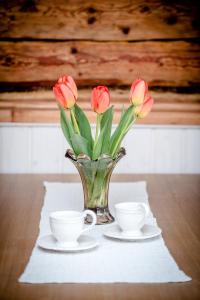 Wiedemanni Apartment