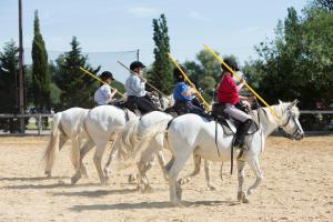 SOWELL HOTELS L'Olivier : photos des chambres