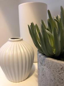 Appartements Le Refuge de l'Ane Carotte Aubagne-Cassis-Aix en Provence : photos des chambres