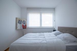 Appartements Gite Les deux belettes : photos des chambres