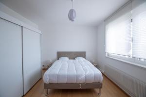 Appartements Gite Les deux belettes : photos des chambres