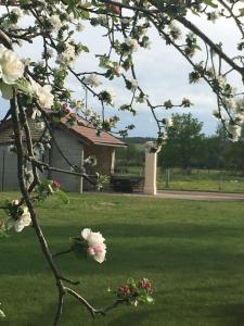 Sejours a la campagne La Maisonnette Dintevilloise : photos des chambres