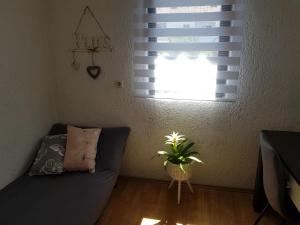 Apartment Anna 2021