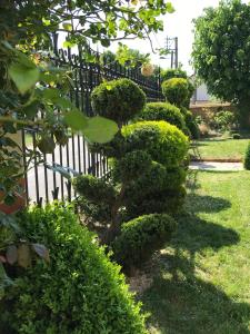 La Villa Eustache photo 12