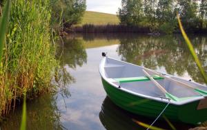 Domek nad Rozlewiskiem