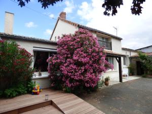 B&B / Chambres d'hotes Chambres d'Hotes Vignes et Loire : Maison 1 Chambre