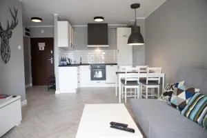 Apartament Scandic - Nowa Wies