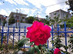 Evgenia Rooms Agistri Greece