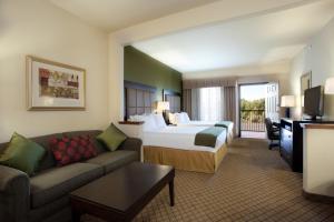 King Suite with Sofa Bed and Living Area room in Holiday Inn Express Hotel & Suites Silt - Rifle an IHG Hotel