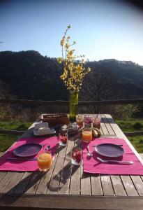 Le Mercou en Cévennes photo 18