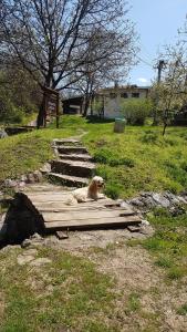 Apartmani Smiljanic Sokobanja