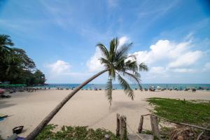 2BDR Apartment near Surin beach PALM-C703