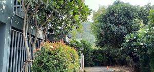 1st House of Happiness at Khao Yai 1-4 bed open 1 bedroom for each 2 adults