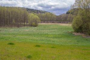 Domki Przystanek Drzewina