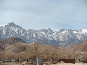 Lone Pine Budget Inn