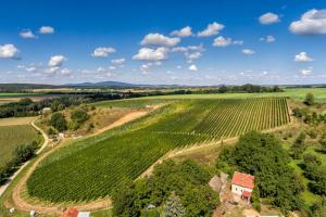 Hotel Niemcza Wino & Spa