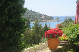 Villa Miomir 