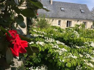 Maisons de vacances Normandia : photos des chambres