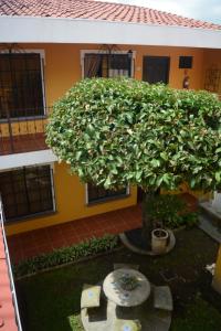 Hotel Villa Terra