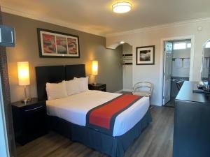 Queen Room - Disability Access room in The Lexmar - Dodger Stadium Hollywood