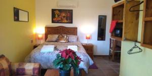 Suites de Mita - Boutique Hotel