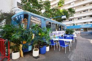 KV702 Waikiki Private Waterfall Room, Mountain View!