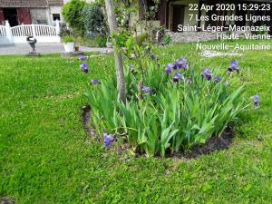 L'hermitage photo 15