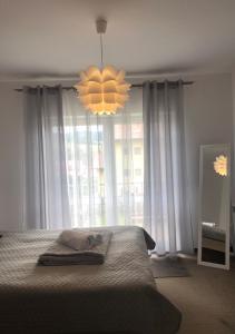 Apartament u Gogoca