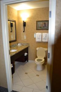 Comfort Suites Alamo-River walk