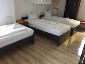 Triple Room with Shared Bathroom - Basement  room in GZ Hostel Bonn