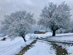 Auberges Gite de Venascle : photos des chambres