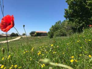 Auberges Gite de Venascle : photos des chambres